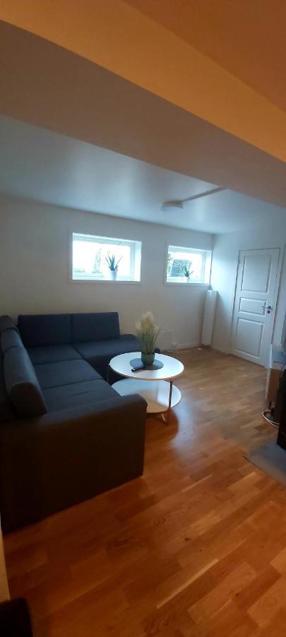 Aurora Rooms For Rent Nr1 We Are Doing Privet Northen Light Trip, Reindeer Trip And Sommaroy Fjord Trip Tromsø Extérieur photo